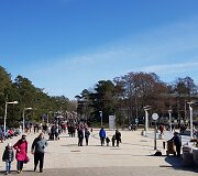 Palanga savaitgalį sulaukė kurorto i&scaron;siilgusių svečių