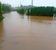 Apsemti Kai&scaron;iadorių &bdquo;Baltojo berželio&ldquo; sodai