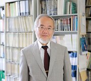 Yoshinori Ohsumi