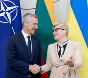 Ingrida &Scaron;imonytė, Jensas Stoltenbergas