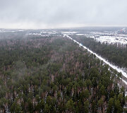 Mi&scaron;kas Panerių seniūnijoje, kurį norima paversti žvyro ir smėlio karjeru