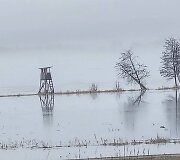 Potvynis pamaryje.  2026 m. Kovo 16 d. 