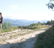 Kelyje