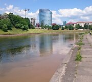 Ter&scaron;alai Neryje tiesiai prie&scaron; Seimo rūmus?