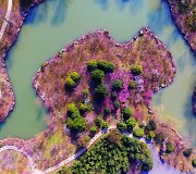 Ry&scaron;kiaspalvių pavasario žiedų i&scaron;margintas parkas Kinijoje i&scaron; oro