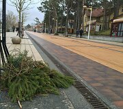 Palanga penktadienį tvarkosi audros pridarytus nuostolius
