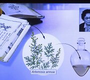 Nobelio medicinos premiją laimėjo Japonijos, Kinijos ir Airijos mokslininkai