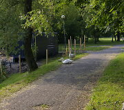 Trinyčių tvenkinys