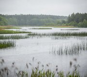 Lietus gaivina gamtą ir merkia praeivius
