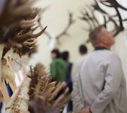 Žagarės dvare &ndash; trofėjų paroda su lapių medžioklės imitacija