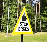 Erkių instaliacijos 