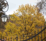 Auksinis ruduo Vilniuje
