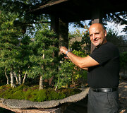 Bonsai oazė Kęstučio Ptakausko namuose