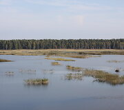 Novaraistis