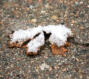 Vilniečiai pro langą i&scaron;vydo pirmąsias snaiges