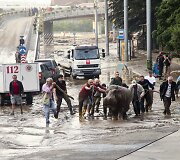 Potvynis Tbilisyje nusine&scaron;ė 10 žmonių gyvybes, mieste bla&scaron;kosi liūtai, tigrai, vilkai ir me&scaron;kos