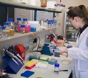 Vilniaus universiteto Biotechnologijos instituto profesoriaus Virginijaus &Scaron;ik&scaron;nio laboratorija