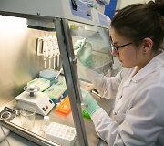 Vilniaus universiteto Biotechnologijos instituto profesoriaus Virginijaus &Scaron;ik&scaron;nio laboratorija