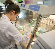 Vilniaus universiteto Biotechnologijos instituto profesoriaus Virginijaus &Scaron;ik&scaron;nio laboratorija