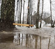 Sniegą Vilniuje keičia balos