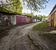 Markučiai