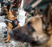 Naujų tarnybinių &scaron;unų perdavimo kinologams ceremonija VSAT būstinėje