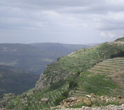 Libano gamta