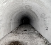 &Scaron;ik&scaron;nosparnių rojus Kauno tvirtovės III-jame forte