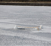 Kauno marių ledas