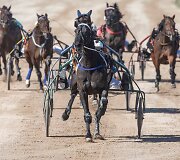 &bdquo;Derby&ldquo; ir &bdquo;Kriterium&ldquo; finale 8 ristūnai žirgai pagerino savo rezultatus