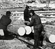 Gulago kaliniai dirbantys stovykloje 013, Ozerlagas 1951 m.