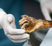 Italijos mokslininkai atlieka tyrimus su Oetzi, 5300 metų senumo mumija