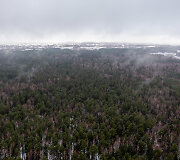 Mi&scaron;kas Panerių seniūnijoje, kurį norima paversti žvyro ir smėlio karjeru