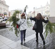 Kalėdinės eglių &scaron;akų dalybos