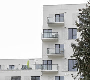 Daugiabučiai Naujamiestyje