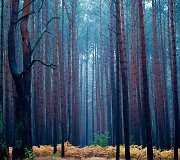 Rudens spalvomis dažosi Europos gamta