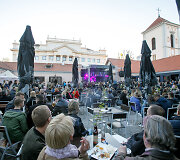 Vido Bareikio koncertas