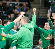 Krep&scaron;inio sirgaliai