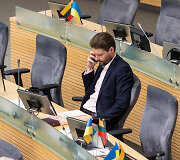 Mykolas Majauskas