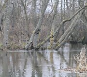 Kruoja