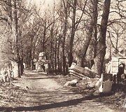 Žydų kapinės Užupyje. Medžiais apsodinta alėja dalina kapines į senąją ir naująją dalį. 1966 m.