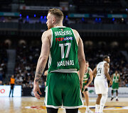 Ignas Brazdeikis