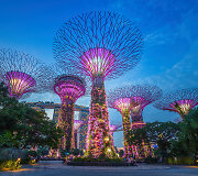 Singapūro sodai (Gardens by the Bay) 