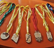 Žygeivės Rūtos Samuolienės medaliai