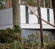Stipraus vėjo padariniai Vilniaus mieste ir apylinkėse