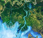 Atčafalijos delta Luizianoje