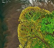 Jukono-Kuskokvimo delta