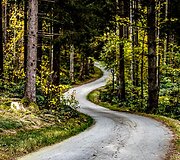 WRC organizatorių &bdquo;facebook&ldquo; puslapyje patalpinta nuotr.