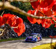 Kadras i&scaron; 2025m. Japonijos WRC ralio. WRC organizatorių &bdquo;facebook&ldquo; tinkle patalpinta nuotrauka.
