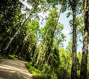 WRC organizatorių &bdquo;facebook&ldquo; tinkle patalpinta nuotrauka